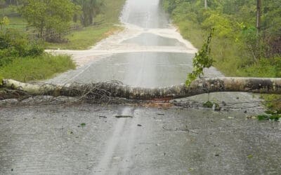 Storm Damage Claims in Southwest Louisiana: Why Homeowners Get Underpaid